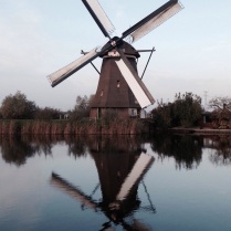 Rotterdam Mills